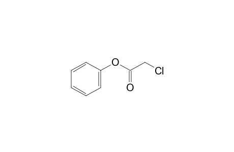 Chloroacetic acid, phenyl ester