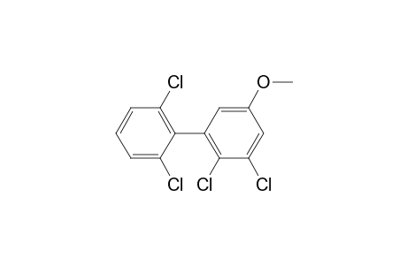 3 methoxy 5,6,2',6' tetrachlorobiphenyl