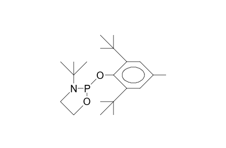 3-tert-Butyl-2-(2,6-di-tert-butyl-4-methyl-phenoxy)-1,3,2-oxazaphospholidine