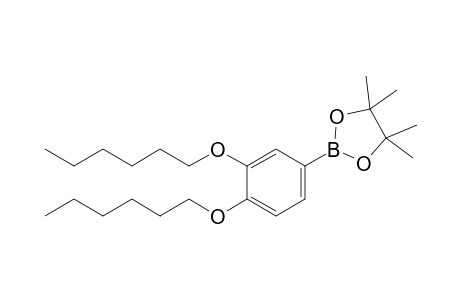 2-[3,4-Bis(hexyloxy)phenyl]-4,4,5,5-tetramethyl-1,3,2-dioxaborolane