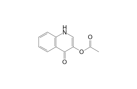 3-Acetoxyquinoline-4-one