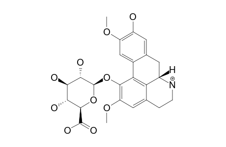NORISOBOLDINE-1-O-BETA-D-GLUCURONIDE;M1