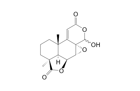 Oidiodendrolide A