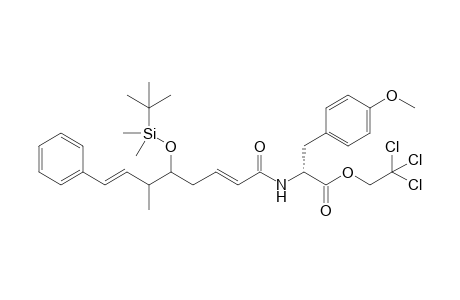 2,2,2-Trichloroethyl ester of N-[(1-oxo-5-(tert-butylcdimethylsilyloxy)-6-methyl-8-phenyl)octa-2,7-dienyl]-O-methyl-D-tyrosine