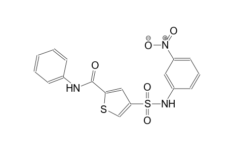 2-thiophenecarboxamide, 4-[[(3-nitrophenyl)amino]sulfonyl]-N-phenyl-