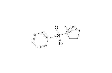 5-exo-(Phenylsulfonyl)-5-endo-methylbicyclo[2.2.1]hept-2-ene