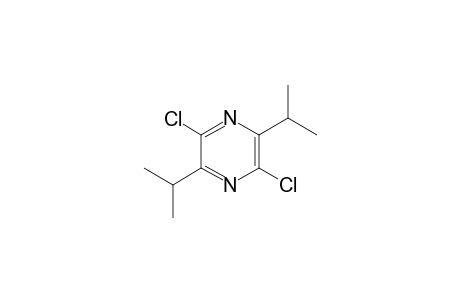 2,5-Dichloro-3,6-di(propan-2-yl)pyrazine