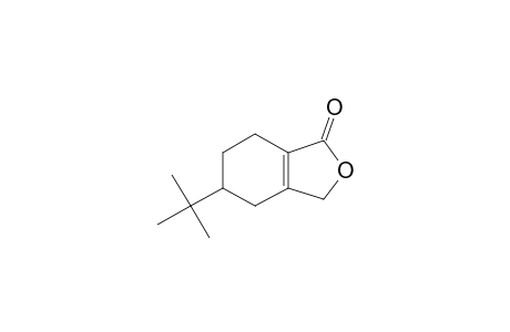 5-tert-butyl-4,5,6,7-tetrahydro-3H-2-benzofuran-1-one