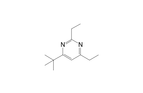 4-tert-butyl-2,6-diethylpyrimidine