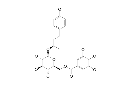 (S)-4-(4-HYDROXYPHENYL)-2-BUTANOL-2-O-(6-O-GALLOYL)-BETA-D-GLUCOPYRANOSIDE