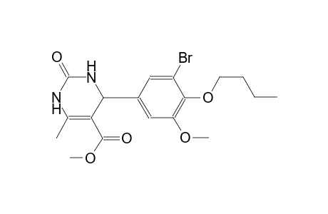 methyl 4-(3-bromo-4-butoxy-5-methoxyphenyl)-6-methyl-2-oxo-1,2,3,4-tetrahydro-5-pyrimidinecarboxylate