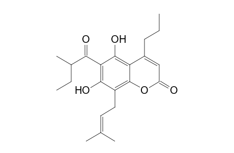 2H-1-Benzopyran-2-one, 5,7-dihydroxy-8-(3-methyl-2-butenyl)-6-(2-methyl-1-oxobutyl)-4-propyl-, (.+-.)-