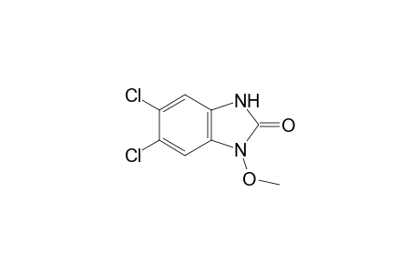 5,6-dichloro-1-methoxy-2-benzimidazolinone