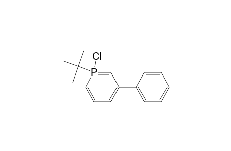 Phosphorin, 1-chloro-1-(1,1-dimethylethyl)-1,1-dihydro-3-phenyl-