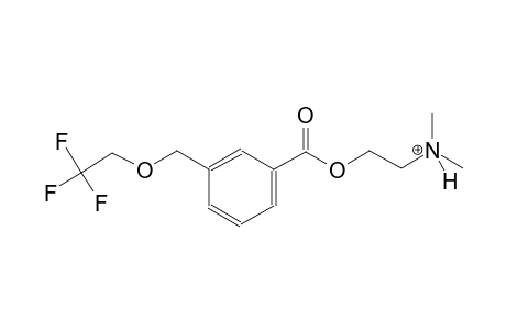 N,N-dimethyl-2-({3-[(2,2,2-trifluoroethoxy)methyl]benzoyl}oxy)ethanaminium