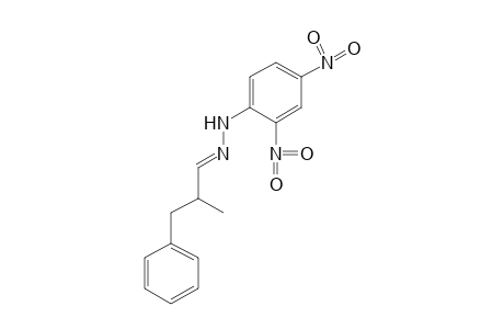 alpha-METHYLHYDROCINNAMALDEHYDE, (2,4-DINITROPHENYL)HYDRAZONE
