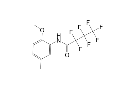 2,2,3,3,4,4,4-heptafluoro-N-(2-methoxy-5-methylphenyl)butanamide