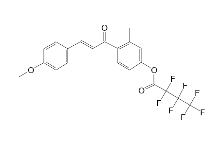 4'-(Heptafluorobutyryl)oxy-4-methoxy-2'-methylchalcone (isomer 2)