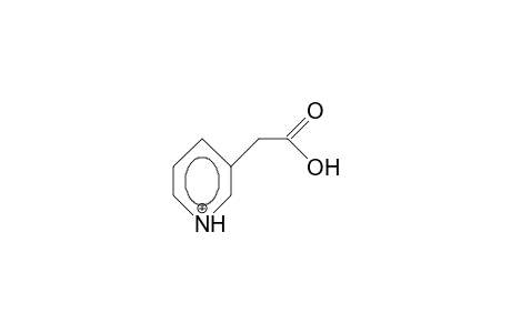 Pyridinium-3-acetic acid, cation