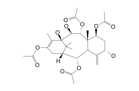 MAJOR-CONFORMER