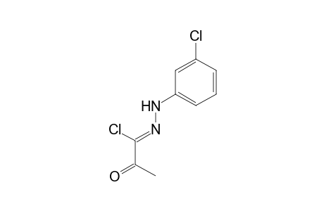 Propanehydrazonoyl chloride, N-(3-chlorophenyl)-2-oxo-