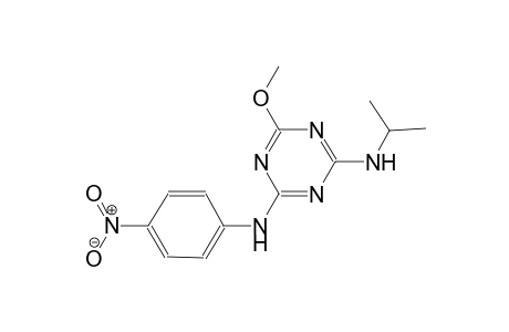 1,3,5-triazine-2,4-diamine, 6-methoxy-N~2~-(1-methylethyl)-N~4~-(4-nitrophenyl)-