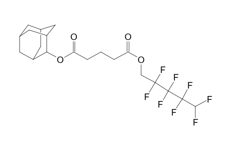 Glutaric acid, adamant-2-yl 2,2,3,3,4,4,5,5-octafluoropentyl ester