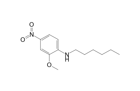 Benzenamine, N-hexyl-2-methoxy-4-nitro-