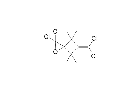 2,2-Dichloro-5-(dichloromethylidene)-4,4,6,6-tetramethyl-1-oxaspiro[2.3]hexane