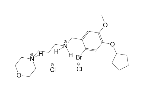 4-(3-{[2-bromo-4-(cyclopentyloxy)-5-methoxybenzyl]ammonio}propyl)morpholin-4-ium dichloride