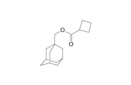 1-Adamantylmethyl cyclobutanecarboxylate