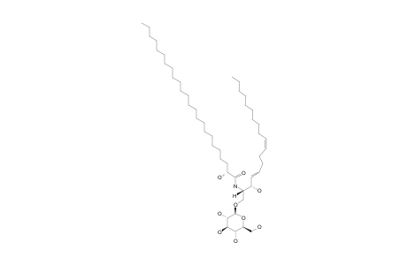 CEREBROSIDE;1-O-BETA-D-GLUCOPYRANOSYL-(2S*,3R*,4E,8Z)-2N-[(2R)-HYDROXYTETRACOSANOYL]-OCTADECASPHINGA-4,8-DIENINE