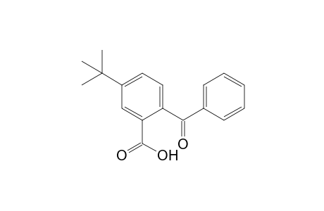 2-benzoyl-5-tert-butylbenzoic acid