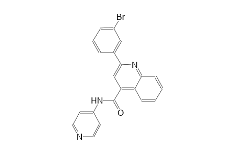 2-(3-bromophenyl)-N-(4-pyridinyl)-4-quinolinecarboxamide