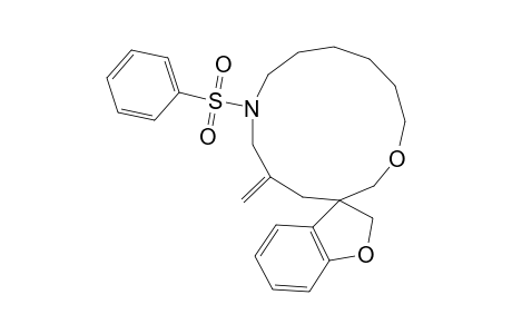 Spiro[benzofuran-3,3'-5'-methylene-N-(phenylsulfonyl)-1'-oxa-7'-azacyclotridecane]