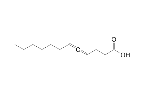 Dodeca-4,5-dienoic Acid