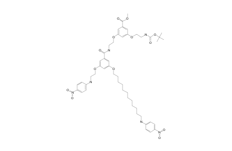 3-[2-(tert-butoxycarbonylamino)ethoxy]-5-[2-[[3-[12-[(4-nitrophenyl)amino]dodecoxy]-5-[2-[(4-nitrophenyl)amino]ethoxy]benzoyl]amino]ethoxy]benzoic acid methyl ester