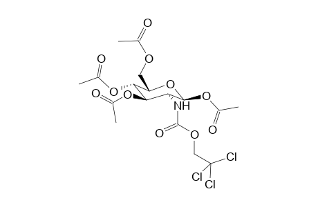 2-Deoxy-1,3,4,6-tetra-O-acetyl-2-(2-trichloroethyl)-oxycarbonylamino-b-d-glucopyranose