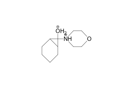 N-[7-endo-Hydroxonio-bicyclo(4.1.0)hept-7-exo-yl]-morpholinium dication