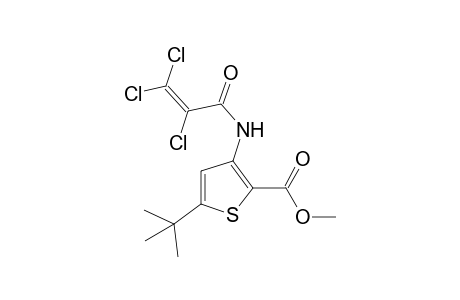 5-tert-butyl-3-(2,3,3-trichloroacrylamido)-2-thiophenecarboxylic acid, methyl ester