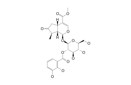 2'-(2,3-DIHYDROXYBENZOYLOXY)-7-KETO-LOGANIN