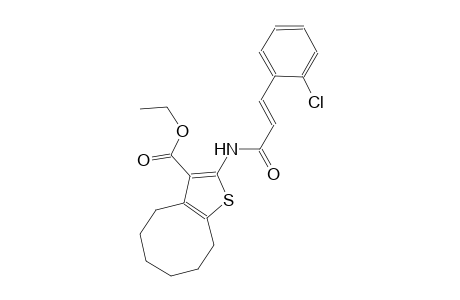 ethyl 2-{[(2E)-3-(2-chlorophenyl)-2-propenoyl]amino}-4,5,6,7,8,9-hexahydrocycloocta[b]thiophene-3-carboxylate