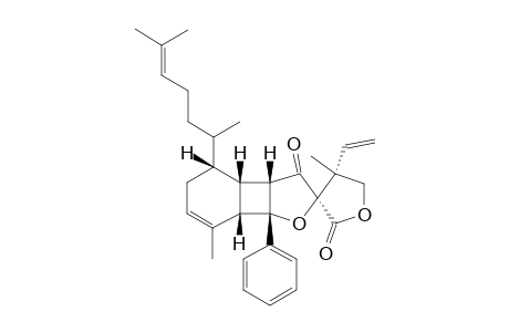 BIYOUYANAGIN-A