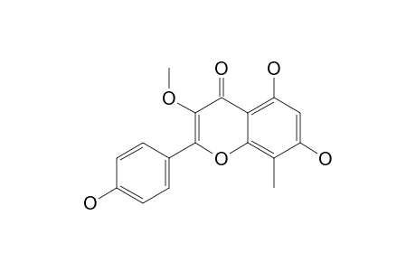 TUPICHINOL-F;5,7,4'-TRIHYDROXY-3-METHOXY-8-METHYLFLAVONE