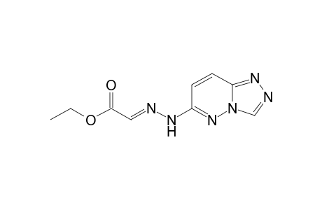 1,2,4-Triazolo[4,3-b]pyridazine, acetic acid deriv.