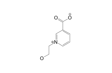 PYRIDINEBETAINE-A