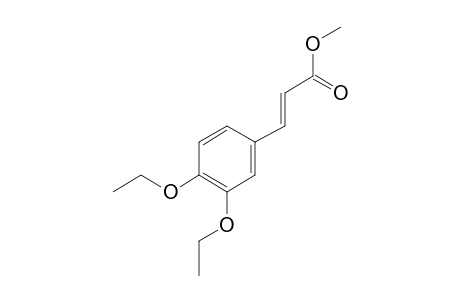 Methyl 3-(3,4-diethoxyphenyl)prop-2-enoate