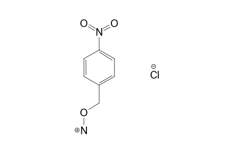 O-(p-nitrobenzyl)hydroxylamine, hydrochloride