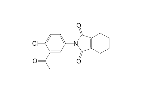 1H-Isoindole-1,3(2H)-dione, 2-(3-acetyl-4-chlorophenyl)-4,5,6,7-tetrahydro-