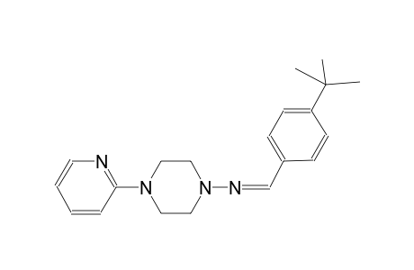 1-piperazinamine, N-[(Z)-[4-(1,1-dimethylethyl)phenyl]methylidene]-4-(2-pyridinyl)-